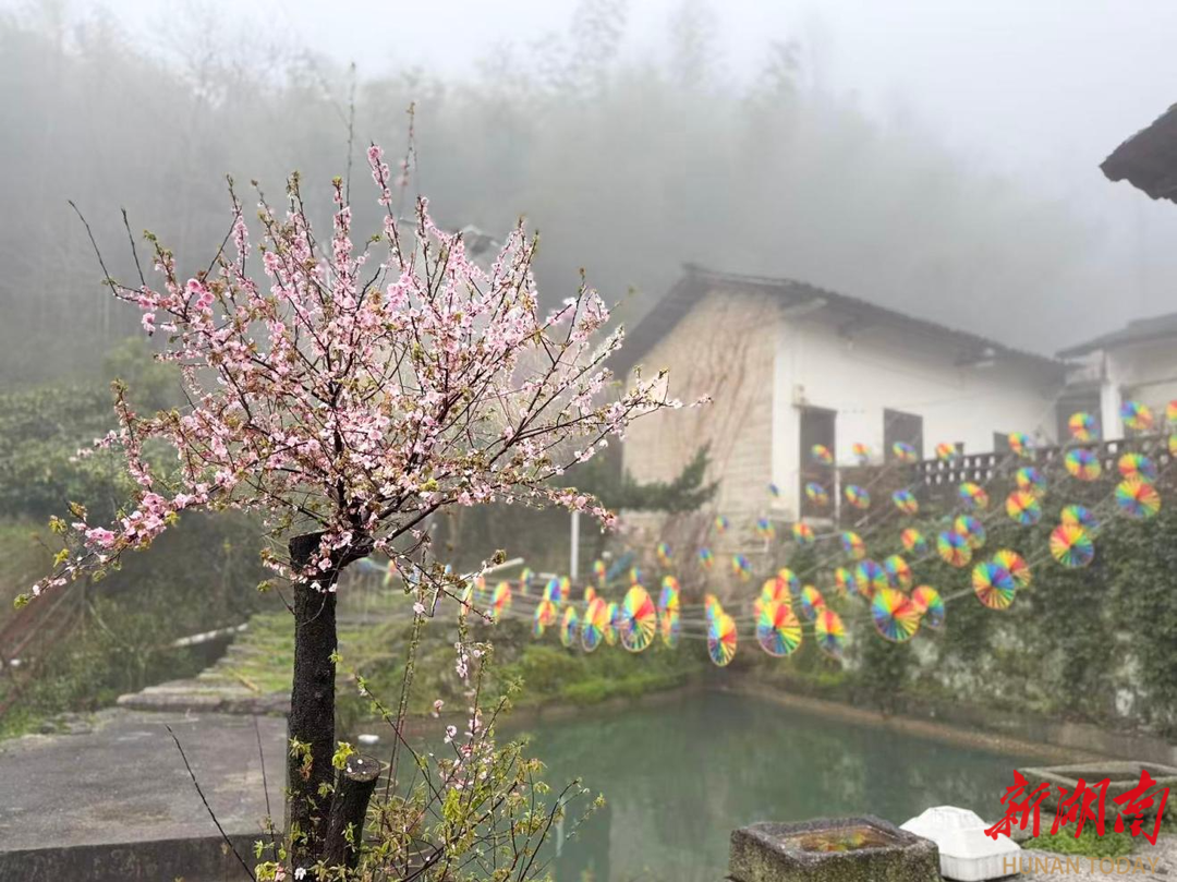 子初居